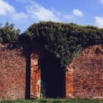 Jaka cegła do wnętrza