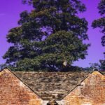 Jaka cegła na palenisko do wędzarni